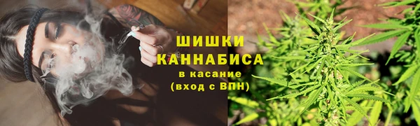 мдпв Ладушкин