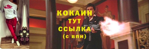 mdpv Гусев