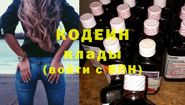 мдпв Ладушкин