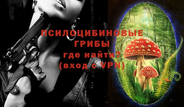 mdpv Гусев