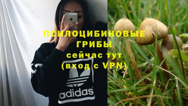 каннабис Гусиноозёрск