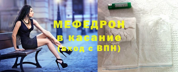 мдпв Ладушкин