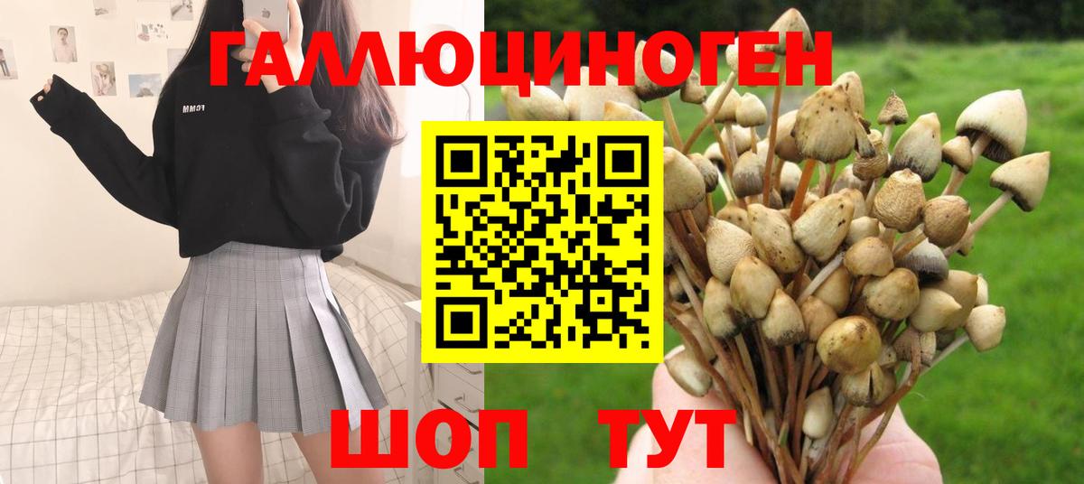 Псилоцибиновые грибы ЛСД  магазин продажи наркотиков  Добрянка 