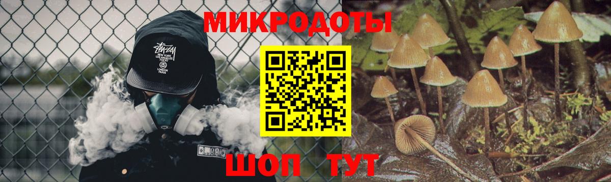 Добрянка  Псилоцибиновые грибы прущие грибы  Вход с VPN 