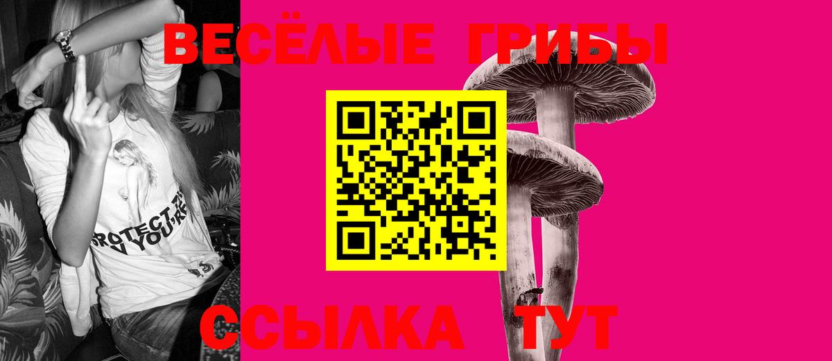 Псилоцибиновые грибы Psilocybe Добрянка